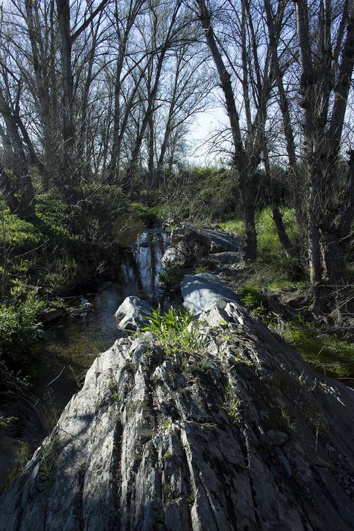 Casa Rural ecológica Huerta del Pirata Fuente de Cantos Exterior foto