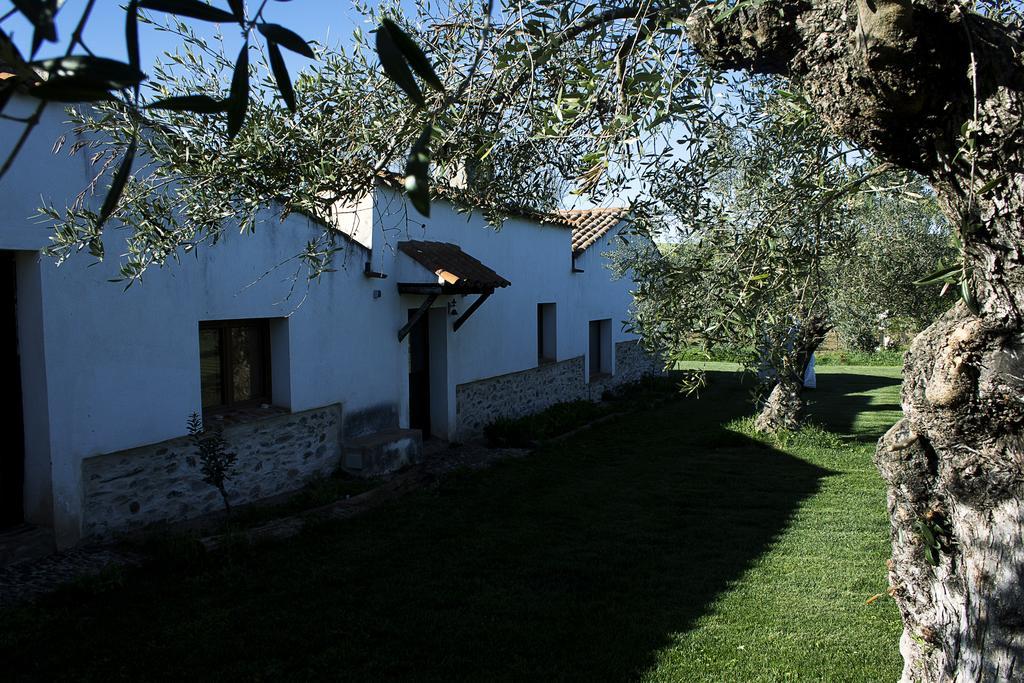 Casa Rural ecológica Huerta del Pirata Fuente de Cantos Exterior foto