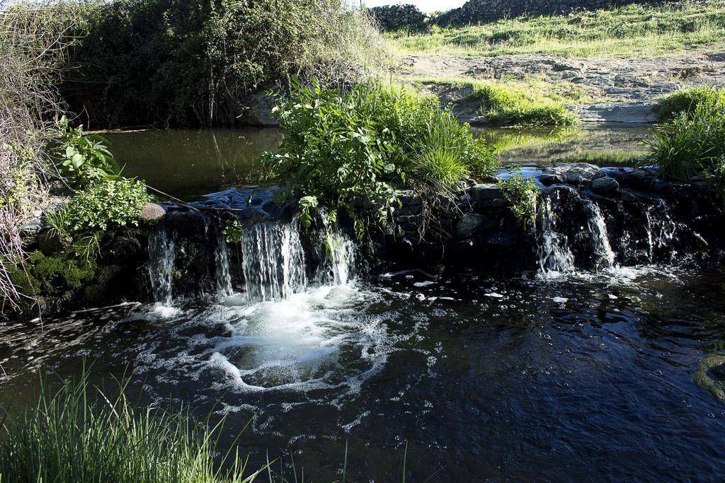 Casa Rural ecológica Huerta del Pirata Fuente de Cantos Exterior foto