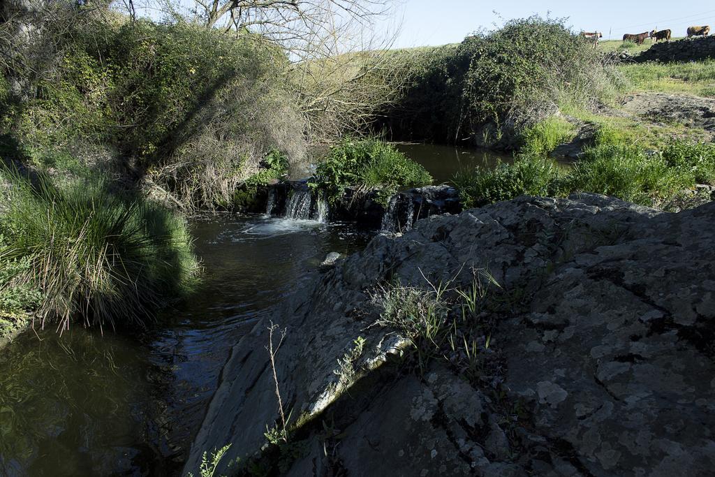 Casa Rural ecológica Huerta del Pirata Fuente de Cantos Exterior foto