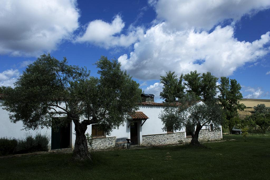 Casa Rural ecológica Huerta del Pirata Fuente de Cantos Exterior foto