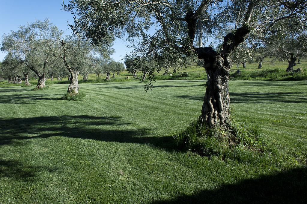 Casa Rural ecológica Huerta del Pirata Fuente de Cantos Exterior foto